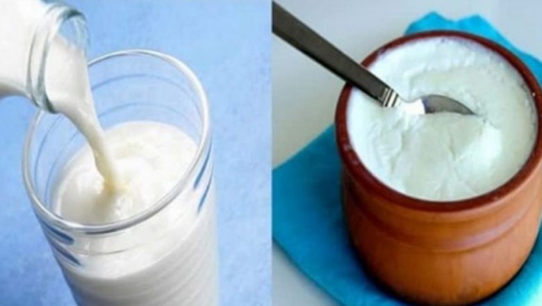 स्वास्थ्यका लागि दूध र दहीमा कुन खानु राम्रो ?