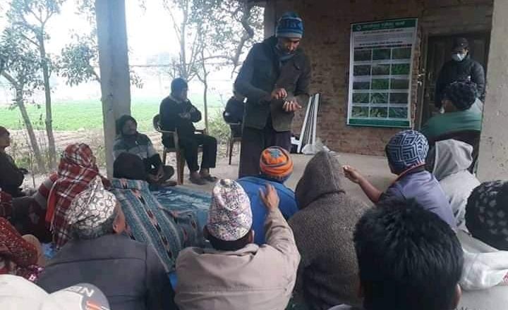 नुवाकोट विदुर ३ मा १ दिने बाख्रा तालिम सम्पन !