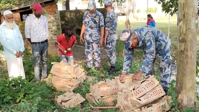 सशस्त्र प्रहरी कृष्णनगर द्वारा तीन हजार अबैध चल्ला नष्ट